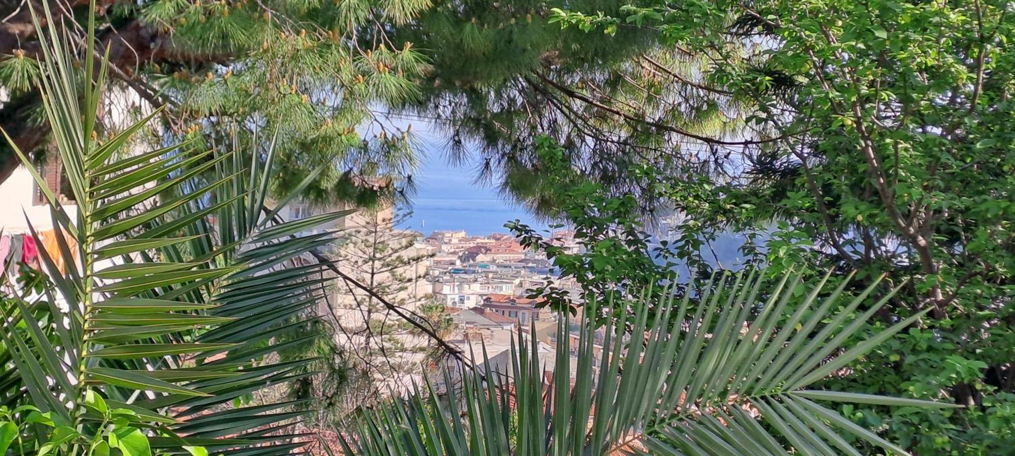 Villetta Fioregreco Σαν Ρέμο Εξωτερικό φωτογραφία